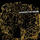 LIKE WOLVES Oak & Bone / Like Wolves album cover
