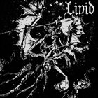LIVID Sint album cover