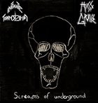MASS GRAVE Screams of Underground album cover