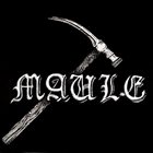 MAULE From Hell album cover