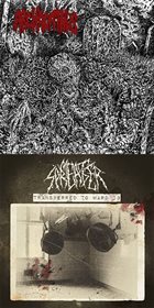 MEAT SPREADER Archagathus/Transfer to Ward 13 album cover