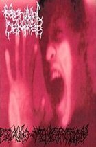 MENTAL DEMISE Psycho-Penetration album cover