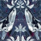 MESTIS Polysemy album cover