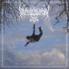 METALBLACK Прыгнуть в небо album cover