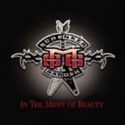 MICHAEL SCHENKER GROUP In the Midst of Beauty album cover