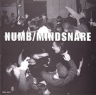 MINDSNARE Numb / Mindsnare album cover