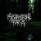 MISANTHROPIC FOREST Demo 2017 album cover