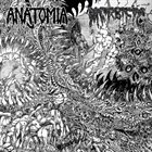 MORBIFIC Anatomia / Morbific album cover