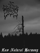 MORGVIR Raw Natural Harmony album cover