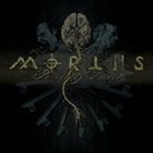 MORTIIS Perfectly Defect album cover