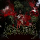 MURDER INTENTIONS Promo 2007 album cover