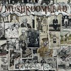 MUSHROOMHEAD A Wonderful Life album cover