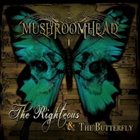 The Righteous & the Butterfly album cover