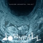 NAMELESS ORCHESTRAL PROJECT Downfall album cover