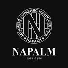 NAPALM 1984-1986 album cover