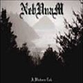 NEBUNAM A Winter's Tale album cover