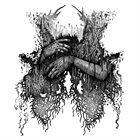 NECKBEARD DEATHCAMP Neckbeard Deathcamp / Closet Witch / Racetraitor / Haggathorn album cover