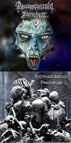 NECROCANNIBALISTIC VOMITORIUM Pseudostratiffied Epithelium / Necrocannibalistic Vomitorium album cover