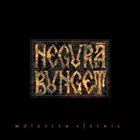 NEGURĂ BUNGET — Maiastru sfetnic album cover