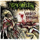 NEKROFILTH Worship Destruction album cover