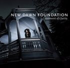 NEW DAWN FOUNDATION Moment of Clarity album cover