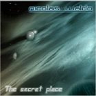 NICOLAS WALDO The Secret Place album cover