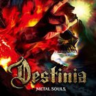 NOZOMU WAKAI'S DESTINIA — Metal Souls album cover