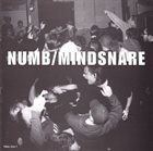 NUMB Numb / Mindsnare album cover