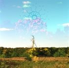 OAKS OF BETHEL The Spirit Molecule (Suite) album cover