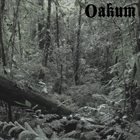 OAKUM Lost In The Woods album cover