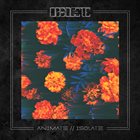 OBSOLETE Animate//Isolate album cover