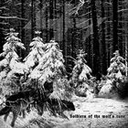 OLD FIRE Soldiers of the Wolf's Rune album cover