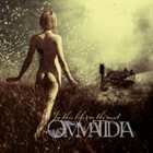 OMMATIDIA — In This Life, Or The Next album cover