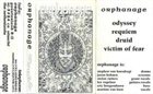 ORPHANAGE Druid album cover