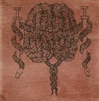 PANDISCORDIAN NECROGENESIS Cerebral Quasaric Lacerations album cover