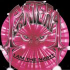 PANTERA discography (top albums) and reviews