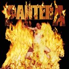 PANTERA Reinventing the Steel album cover