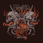 PARAHUMAN Affliction album cover