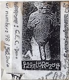 PASZTÖRÖZÖTT G.E.C. album cover