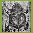 PHYLLOMEDUSA Bryophryne Fermentation album cover