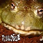 PHYLLOMEDUSA Untitled Frog Worship album cover