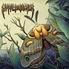 PINEWALKER Migration album cover