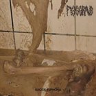 PISSGRAVE Suicide Euphoria album cover
