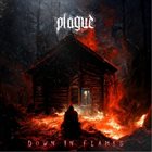 PLAGUE (TX) Down In Flames album cover