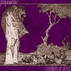 PLAGUEWIELDER Chambers Of Death album cover