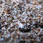 PLANET EATER Planet Eater album cover