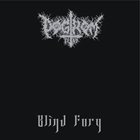 POGROM 1147 Blind Fury album cover
