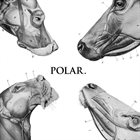 POLAR This Polar Noise album cover