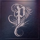 POLYPHIA Muse album cover