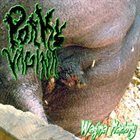 PORKY VAGINA Wagina Maciory album cover